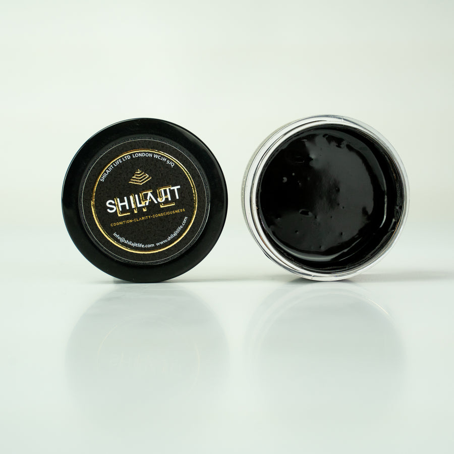 Shilajit Resin 20g